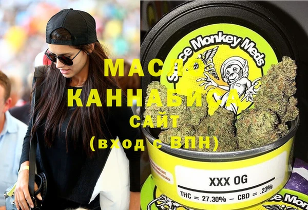 индика Каменск-Шахтинский