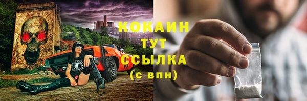 индика Каменск-Шахтинский