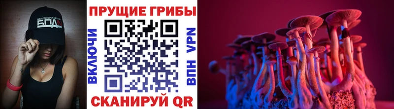 Галлюциногенные грибы мухоморы  Купить где  Отрадная 